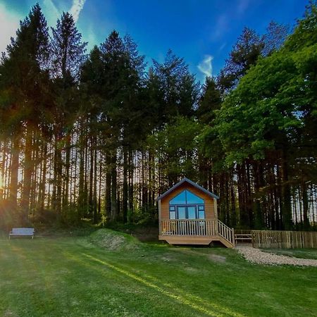 Cabin In The Woods - 1 Bedroom Lodge - Kilgetty Stepaside  Экстерьер фото