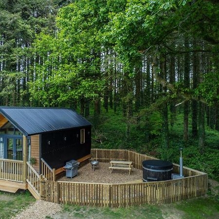 Cabin In The Woods - 1 Bedroom Lodge - Kilgetty Stepaside  Экстерьер фото