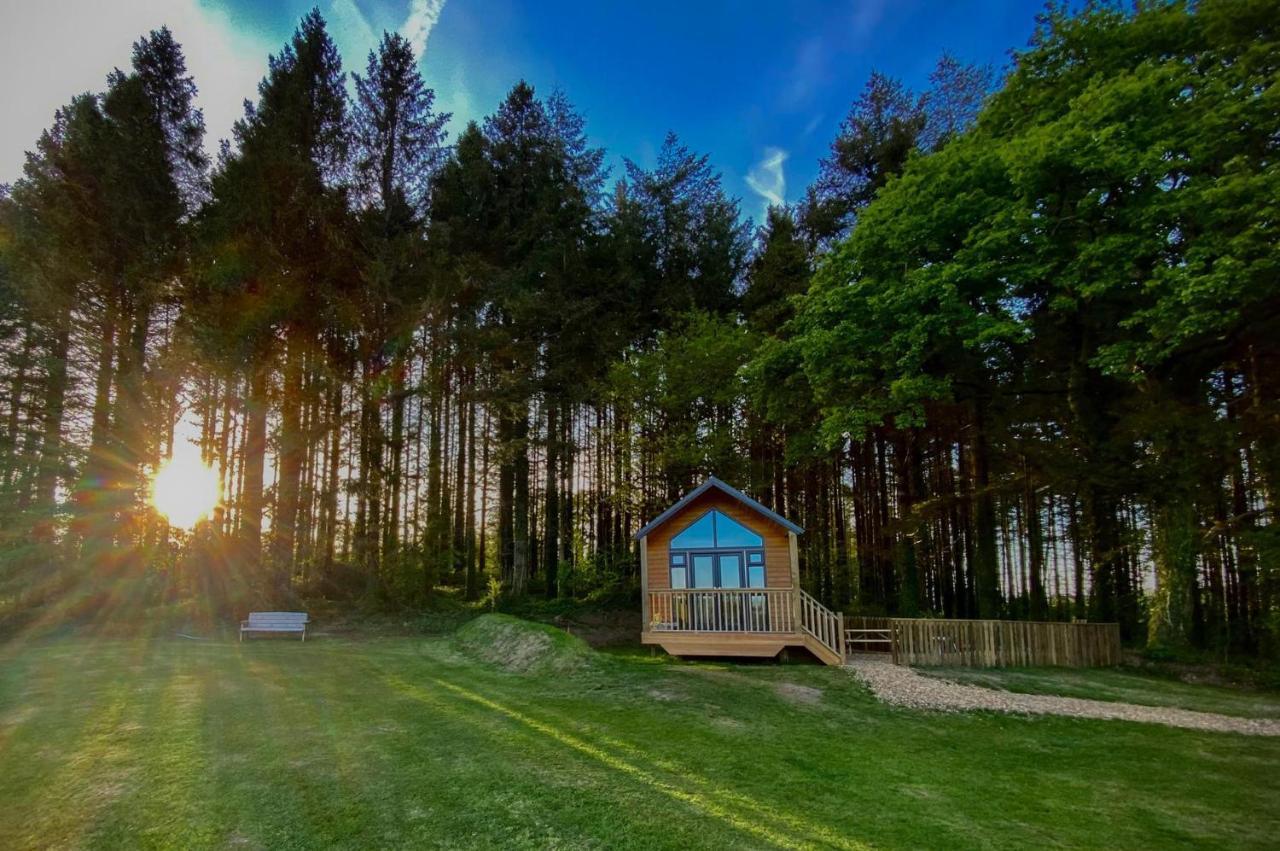 Cabin In The Woods - 1 Bedroom Lodge - Kilgetty Stepaside  Экстерьер фото