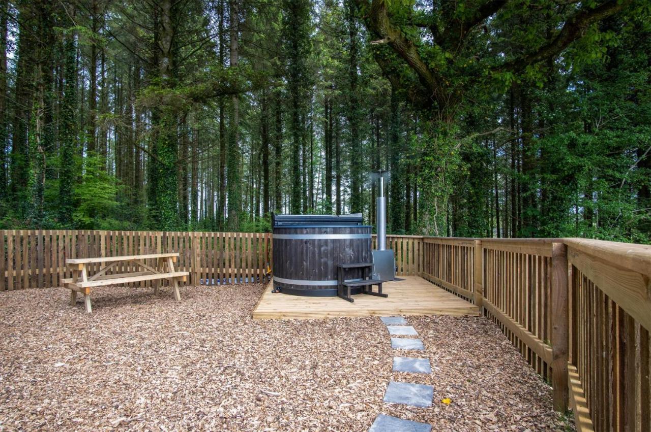 Cabin In The Woods - 1 Bedroom Lodge - Kilgetty Stepaside  Экстерьер фото