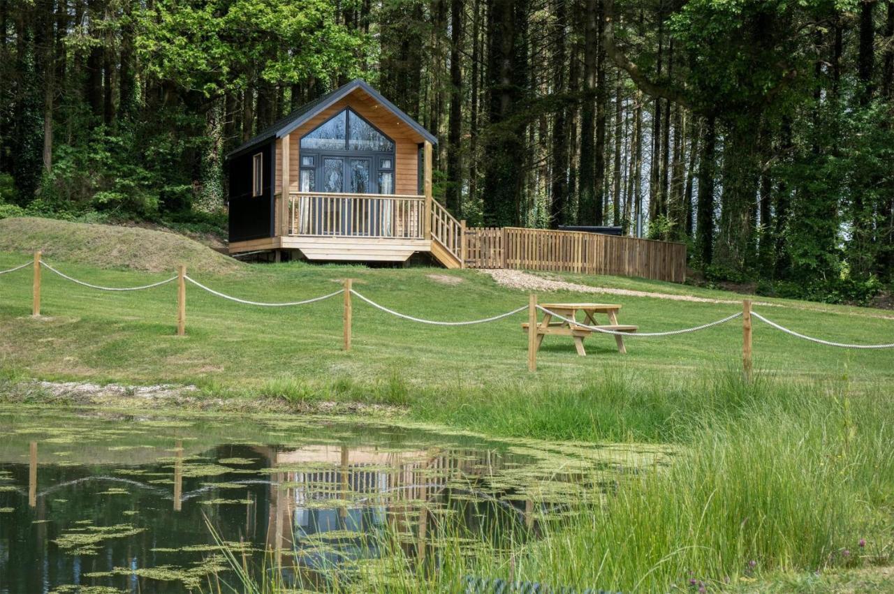 Cabin In The Woods - 1 Bedroom Lodge - Kilgetty Stepaside  Экстерьер фото