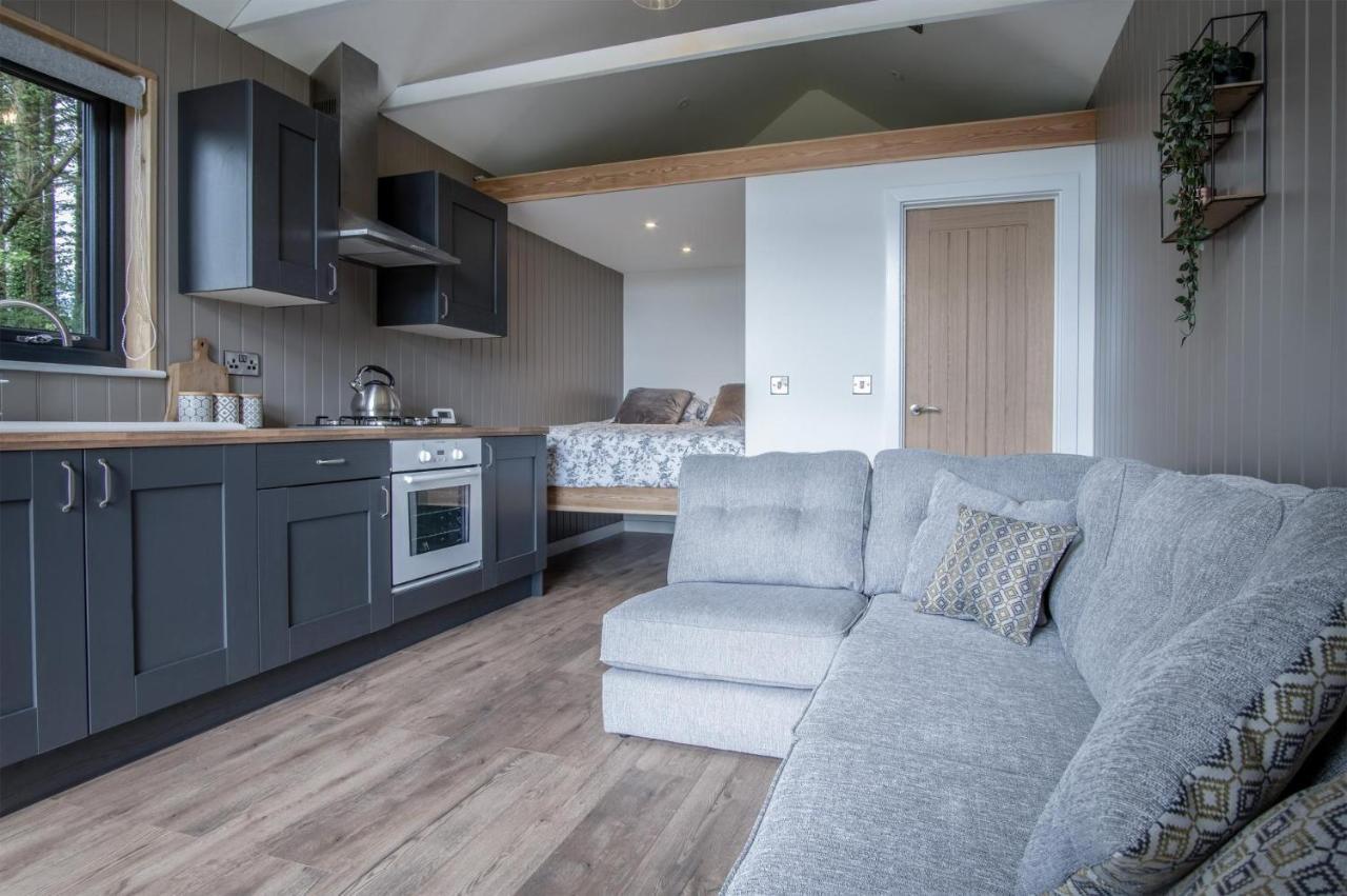 Cabin In The Woods - 1 Bedroom Lodge - Kilgetty Stepaside  Экстерьер фото