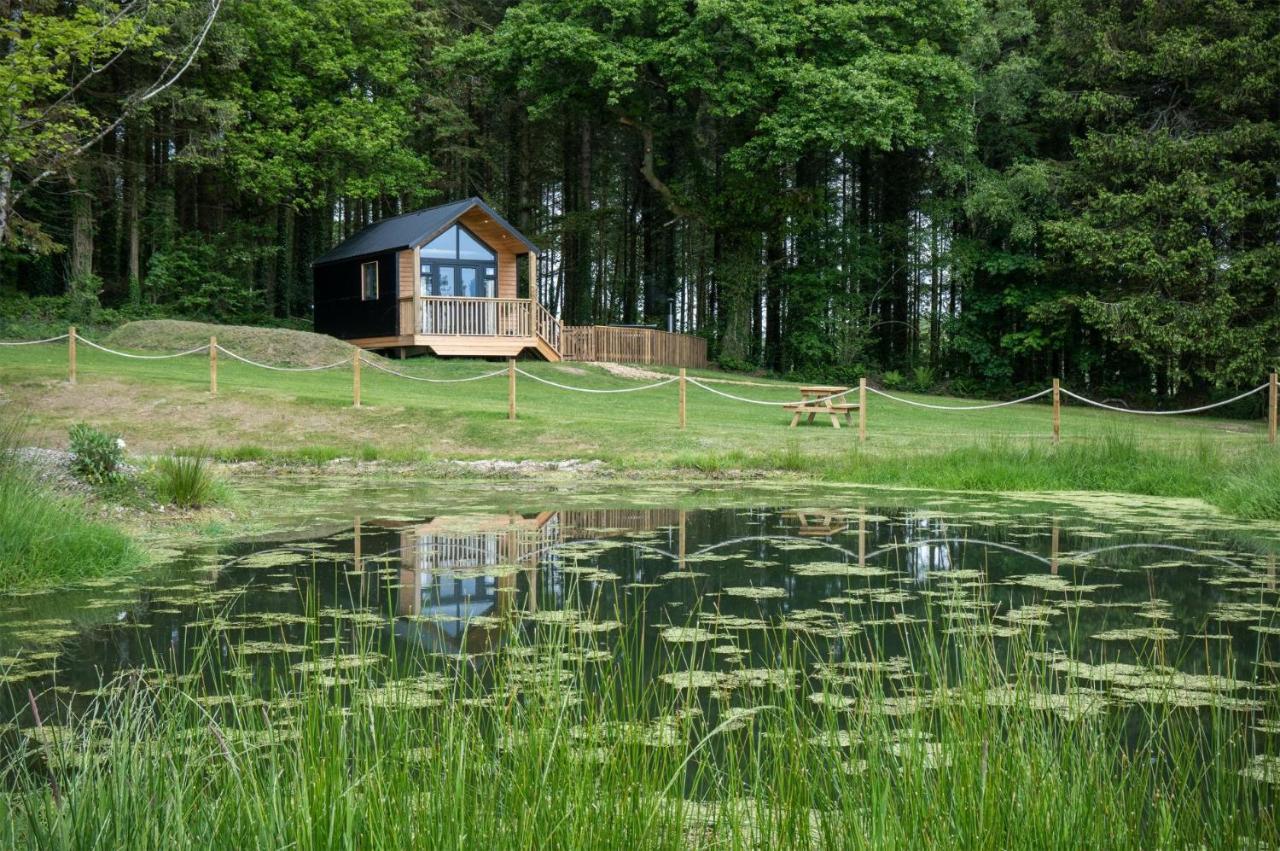 Cabin In The Woods - 1 Bedroom Lodge - Kilgetty Stepaside  Экстерьер фото