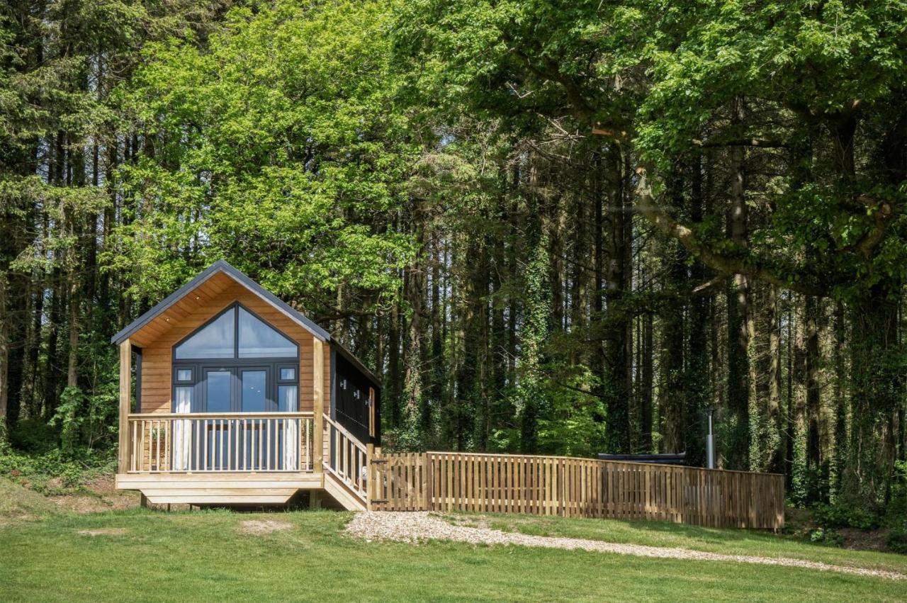 Cabin In The Woods - 1 Bedroom Lodge - Kilgetty Stepaside  Экстерьер фото