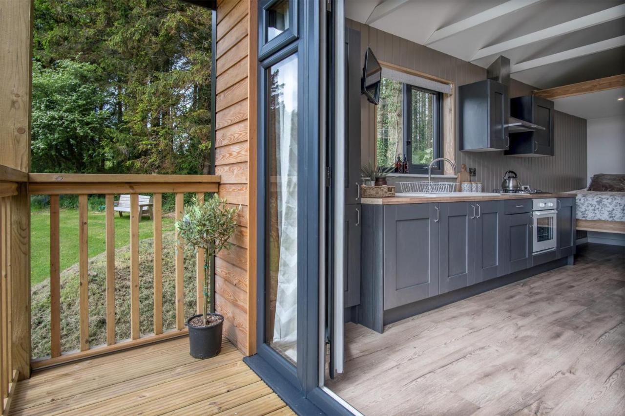 Cabin In The Woods - 1 Bedroom Lodge - Kilgetty Stepaside  Экстерьер фото